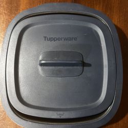 Tupperware Micro Pro Grill