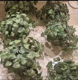 Artificial Faux Silk Plants in Pots for Indoor/Outdoor 2 Full Realistic Quality