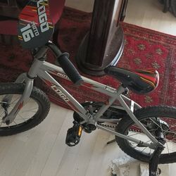 Kids 16" Bike
