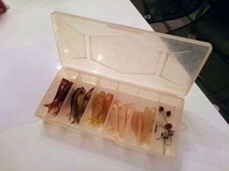 TerrorEyez fishing lures