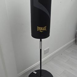 Like-New Everlast cardio fitness training bag