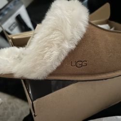 Uggs 