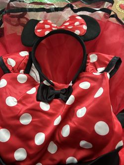 Minnie Mouse Costume 