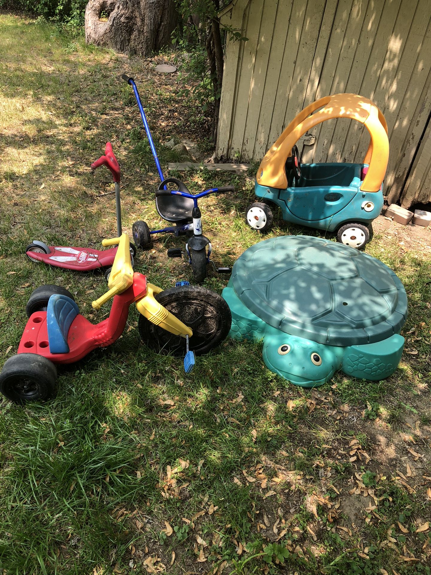 Kids Bikes And Turtle Sandbox