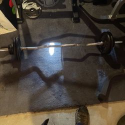 50 Lbs + EZ Curl Bar 