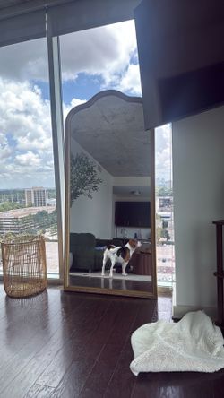Full-length floor Mirror