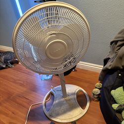 Fan