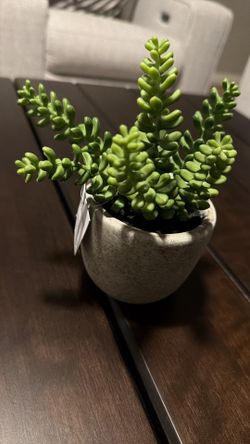$25 New! Artificial Plant