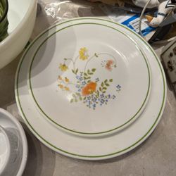 Dinner Plates