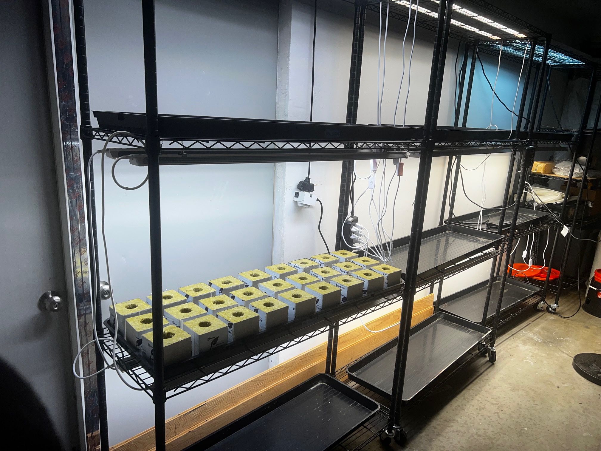 Gordan Hugo Delta Rockwool Cubes Blocks 4x4x4 Case Coco Grow Clones Teens Hydro Gardening LED