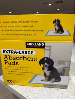 Pet absorbent pads