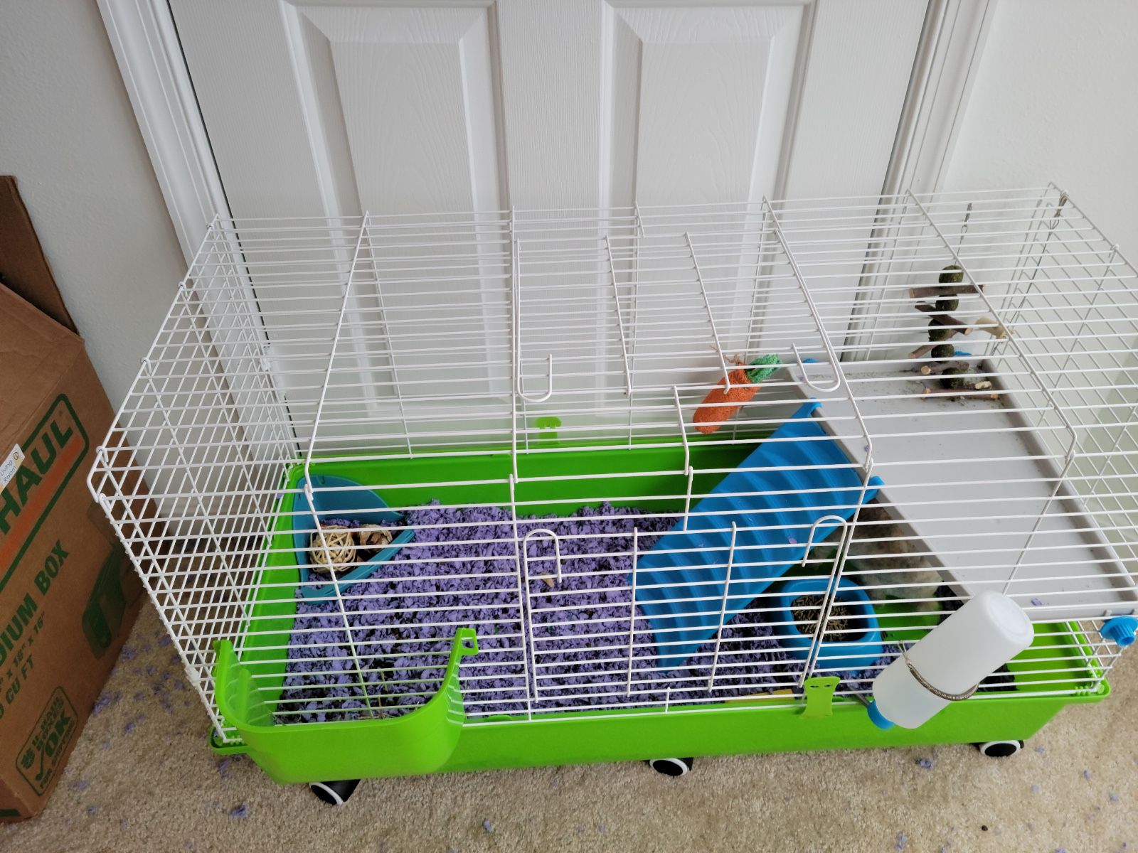 Bunny Cage And Supplies 