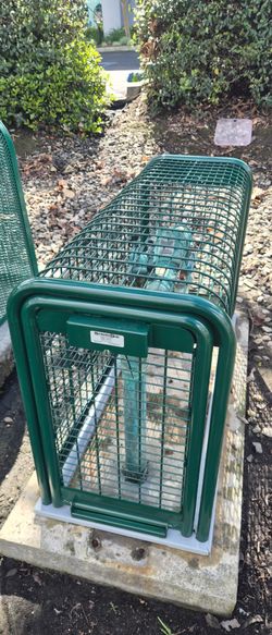 Backflow cage