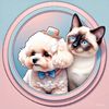Peewee’s & Lilas’s Boutique