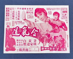 Vtg Hong Kong Promotional Theatrical/Movie Flyer 1972 Martial Arts Film Hapkido