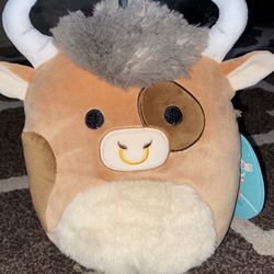 Shep The Highland Cow Squishmallow 7.5in