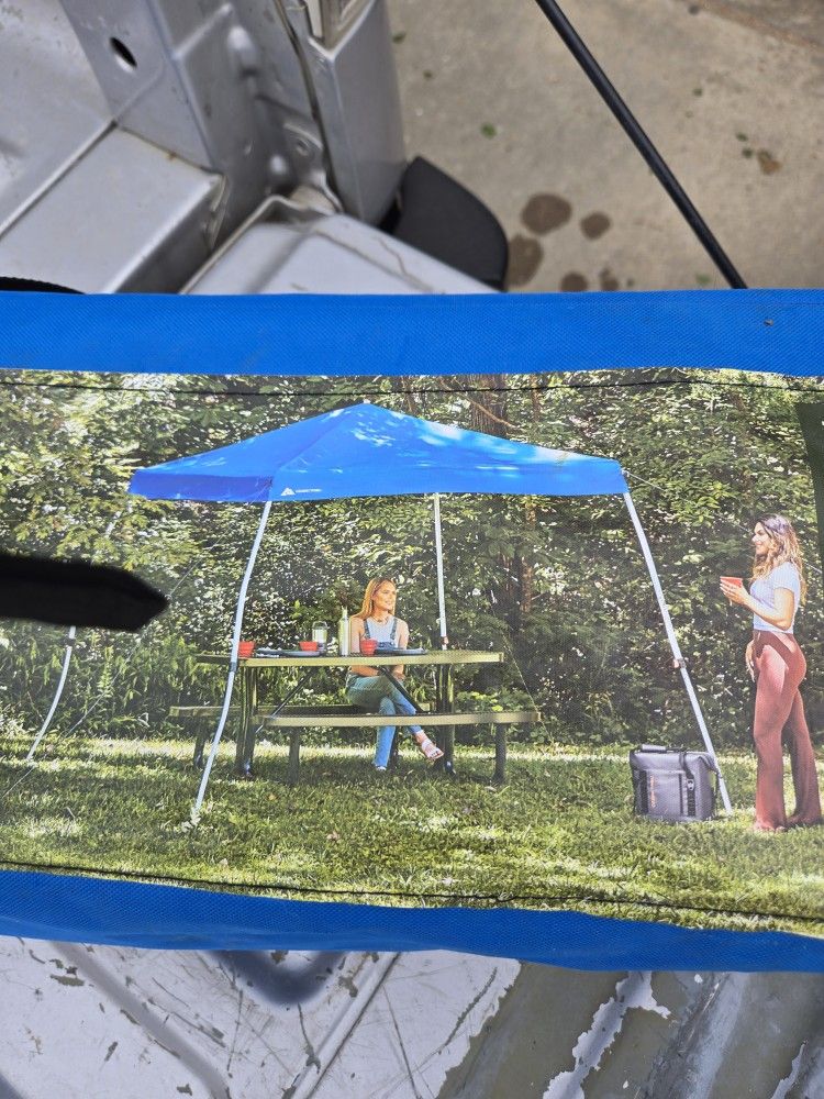 Canopy Use it one time annie berner