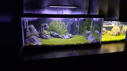 25 gallon fish tank
