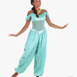 Princess Jasmine Costume