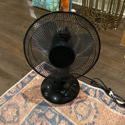 Small Oscillating Fan 
