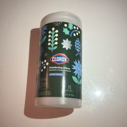 clorox disinfecting wipes to go