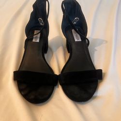 Steve Madden