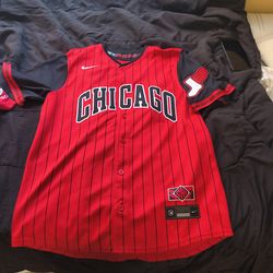 Chicago baseball jersey