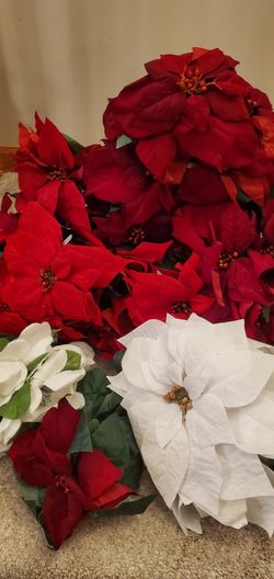 flowers decoration for Christmas