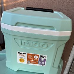 Igloo cooler mint