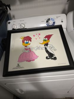 Warner Bros Woody woodpecker picture