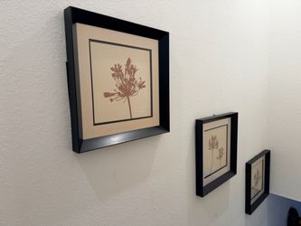Paintings -3