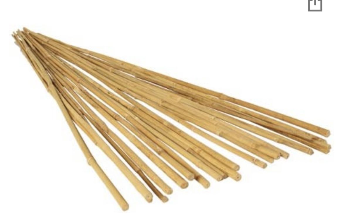 Grow It Bamboo plant stakes 