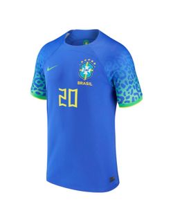 Brazil vini jr