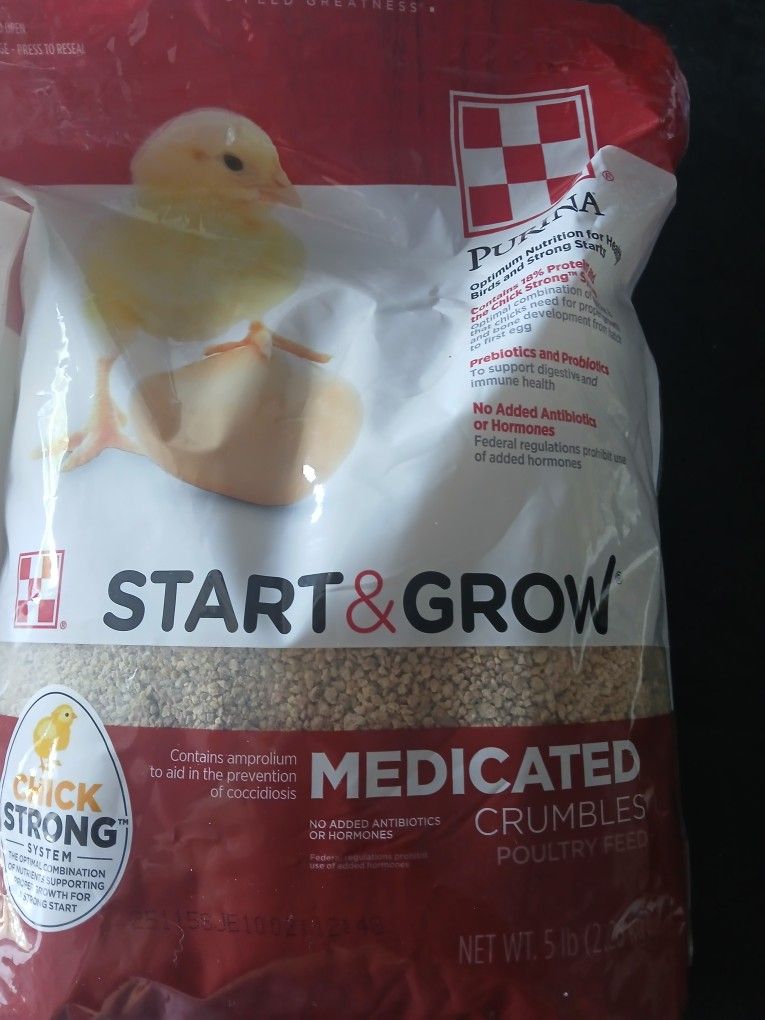 Small Chick Food