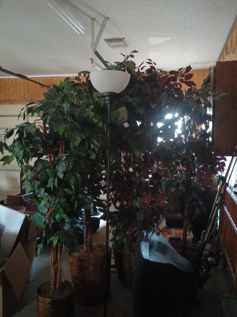 Fake Plants 10$ Takes All