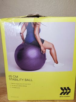 65 cm Balance Ball Workout Ball Stability Ball