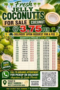 Fresh Jelly Coconuts 🥥 😋 😍 😌 👌  For Sale Will Deliver Anywhere in South Florida