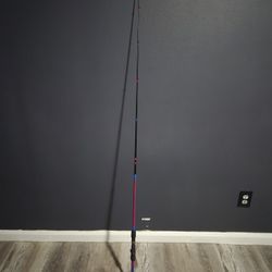 Custom Rod 