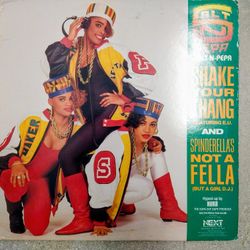 1986 SALT & PEPPER Vinyl LP  Record