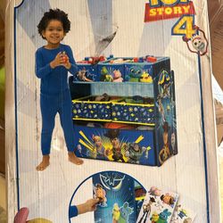 Toy Story Organizer 