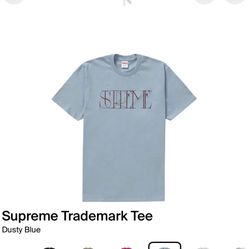 Supreme DS TShirt 