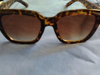 Cats 2 Sunglasses