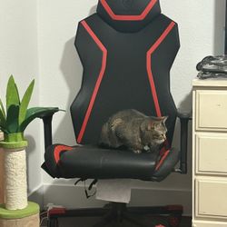 Gaming Chair (On hold)