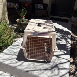 Medium Pet Traveling Carrier