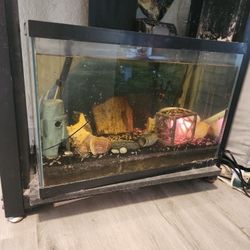 20 Gallon Fish Tank/Aquarium 