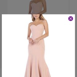 Woman Gown Blush Pink New 