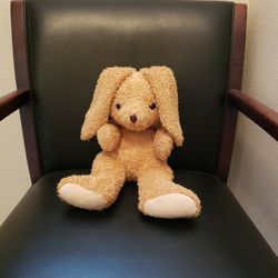 Bunny Rabbit Plush Stuffed Animal 
