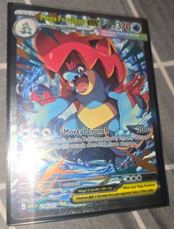 Mega Feraligatr EX Special Illustration Rare