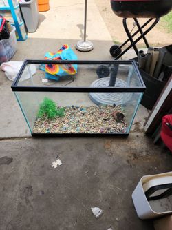 Fish tank