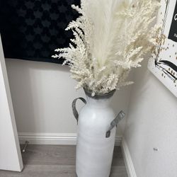 Plant Decor